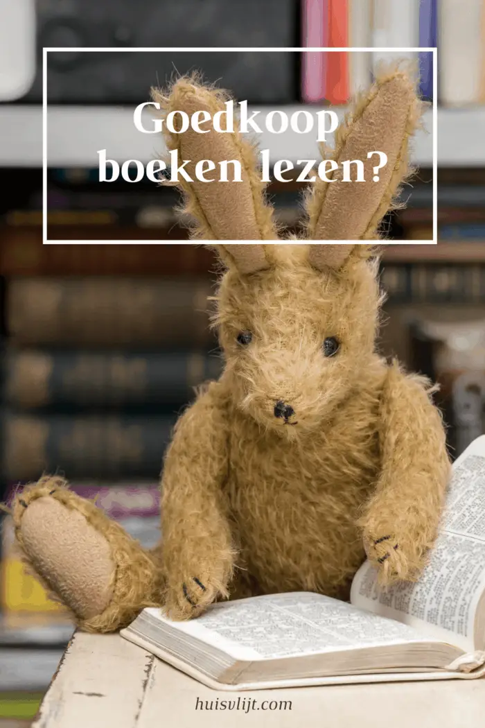 Lao huis analoog Goedkoop boeken lezen met deze top tips! - Huisvlijt