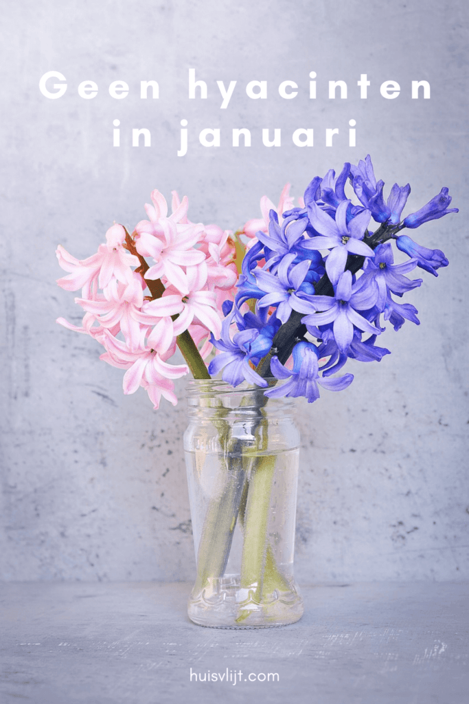 Geen hyacinten in januari