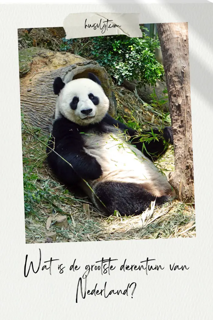 grootste dierentuin nederland