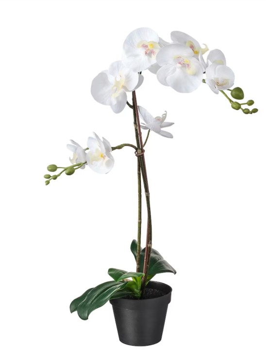 plastic orchidee ikea