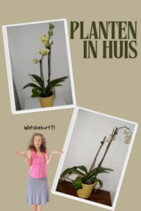 planten in huis