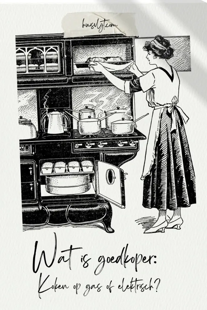 Wat is goedkoper: Koken op gas of elektrisch?