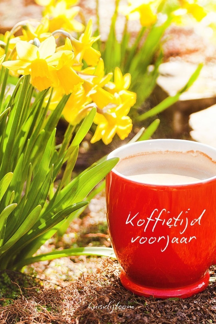 koffietijd voorjaar