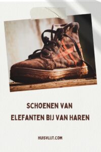 elefanten