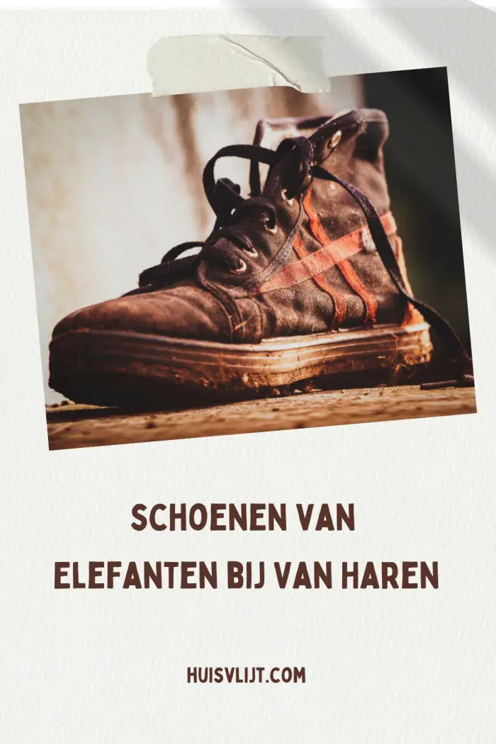 Elefanten schoenen bij Van Haren: stuk na 3 maanden