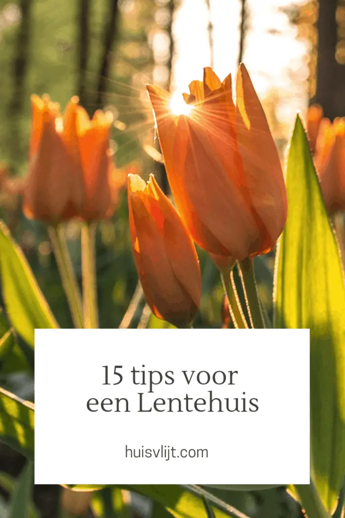 15 tips voor een Lentehuis