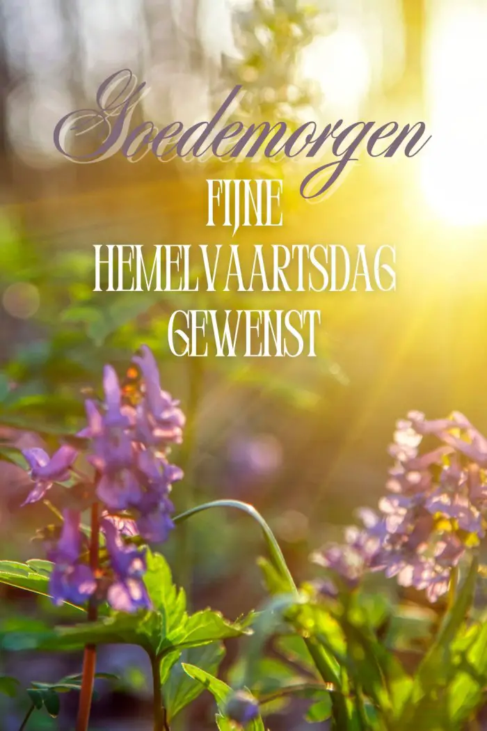goedemorgen hemelvaartsdag