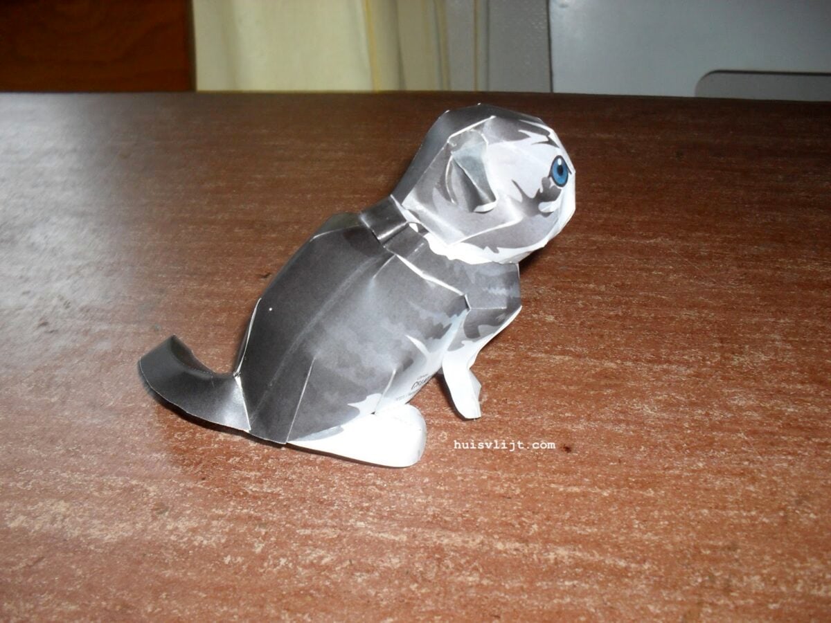 Kat knutselen: Mijn veertienjarige zoon maakt een kat! 1 kat knutselen