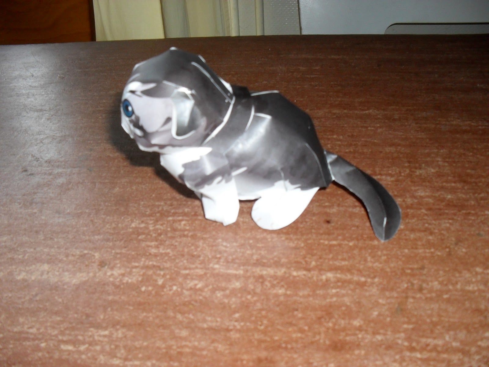 Kat knutselen: Mijn veertienjarige zoon maakt een kat! 2 SDC10024