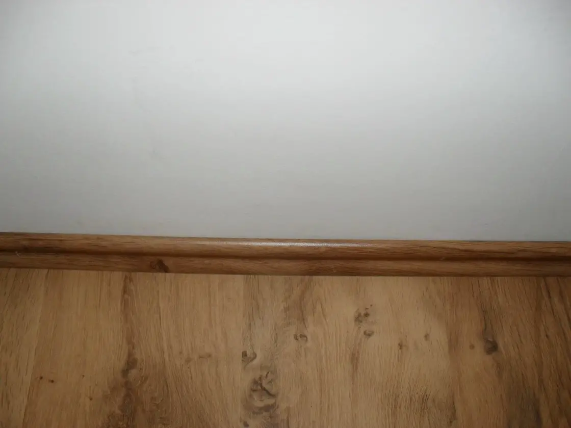 plinten