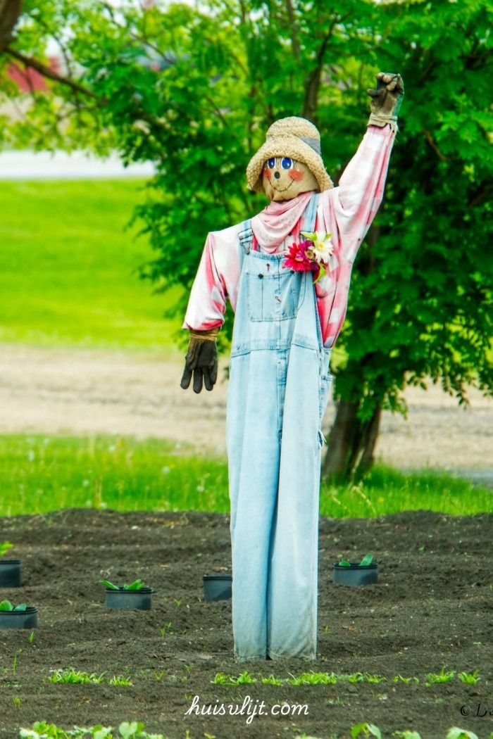 vogelverschrikker diy