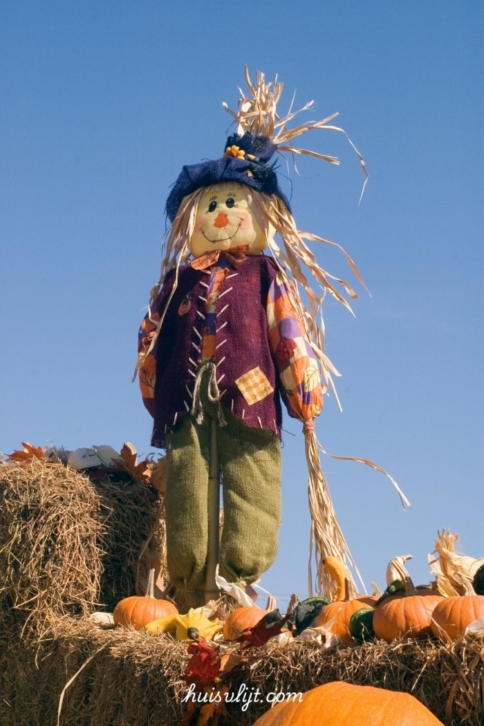 vogelverschrikker maken