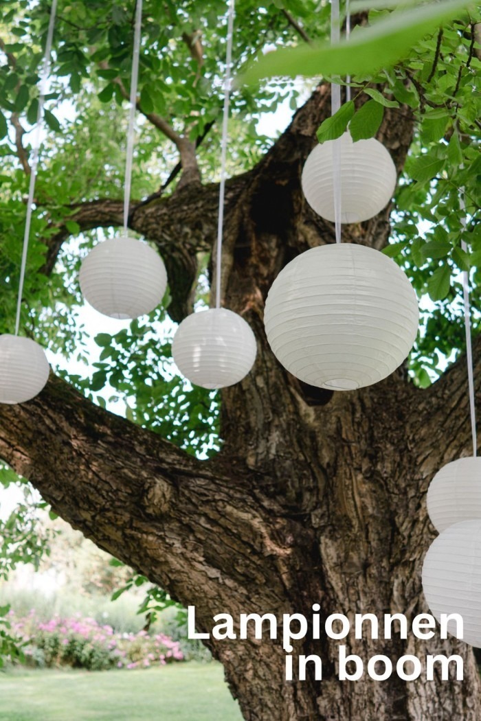 lampionnen in boom