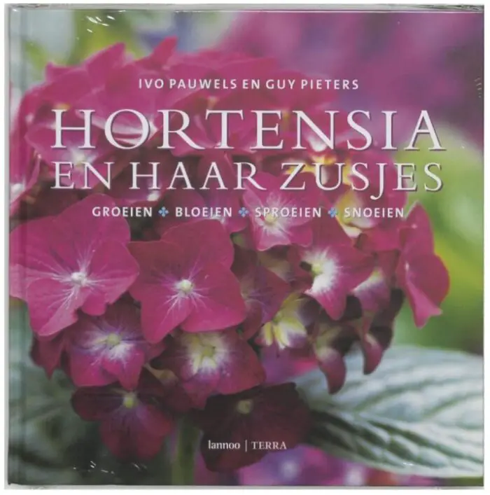 hortensia's