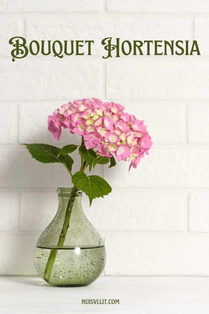 bouquet hortensia