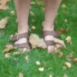 birkenstocks in de herfst