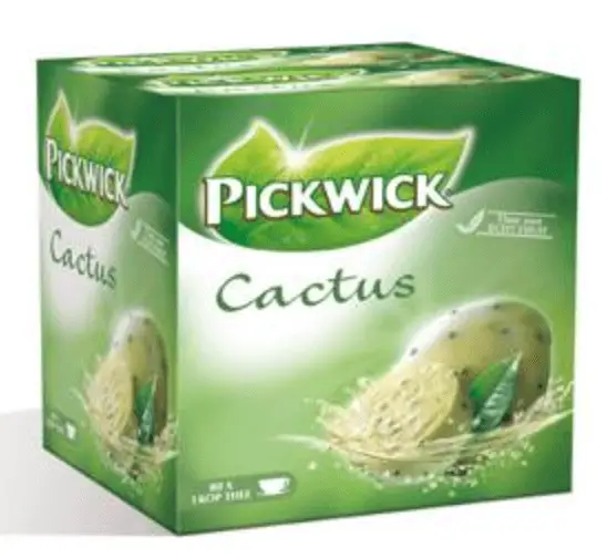 cactus thee pickwick