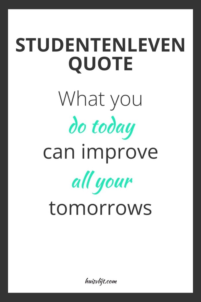 studentenleven quote
