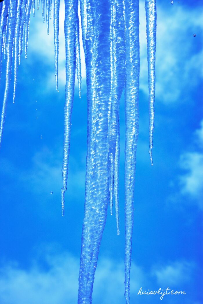 icicles