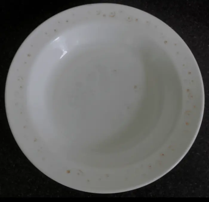 Arcopal servies en borden: een bijzonder materiaal! 9 arcopal france