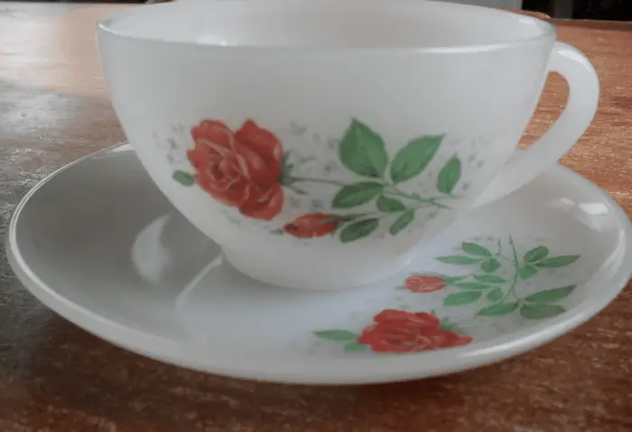 Arcopal servies en borden: een bijzonder materiaal! 6 arcopal