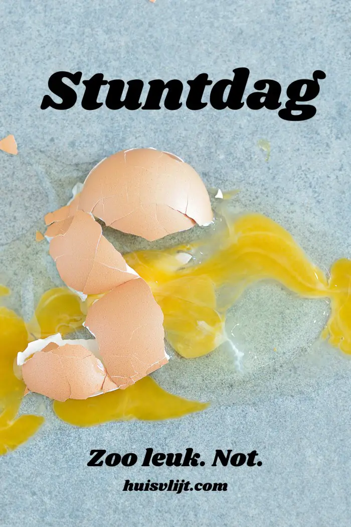 stuntdag