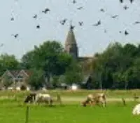 Wonen op het platteland