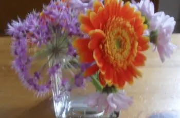 Bloemen van de supermarkt of bloemist?