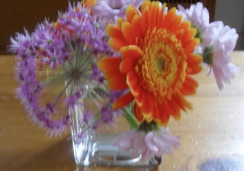 bloemen in huis