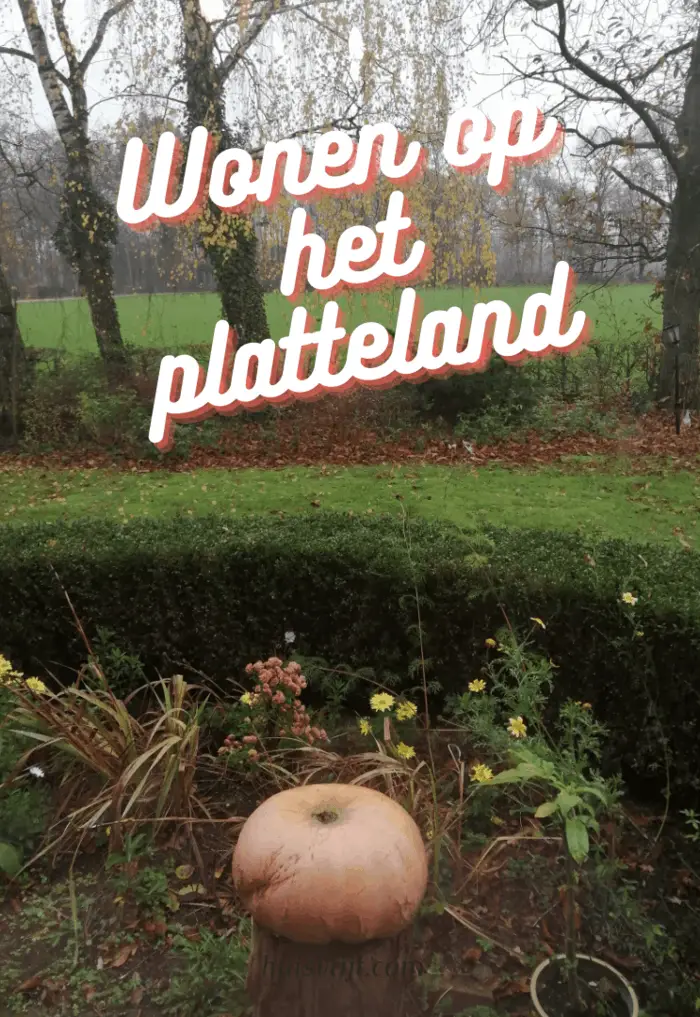 Wonen op het platteland