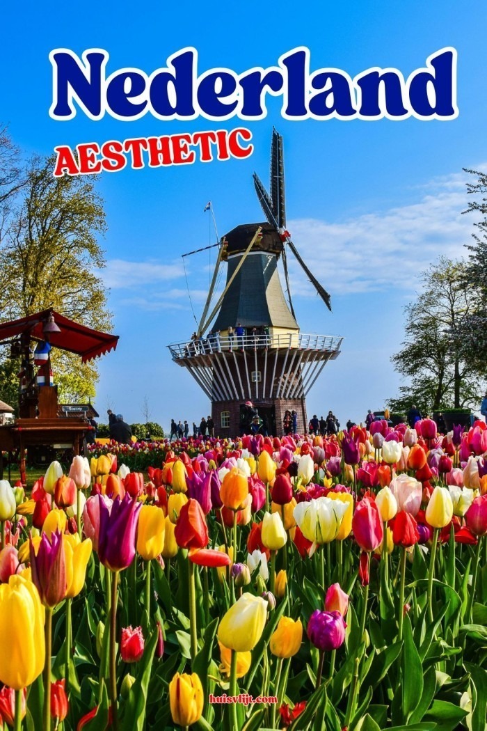 nederland aesthetic