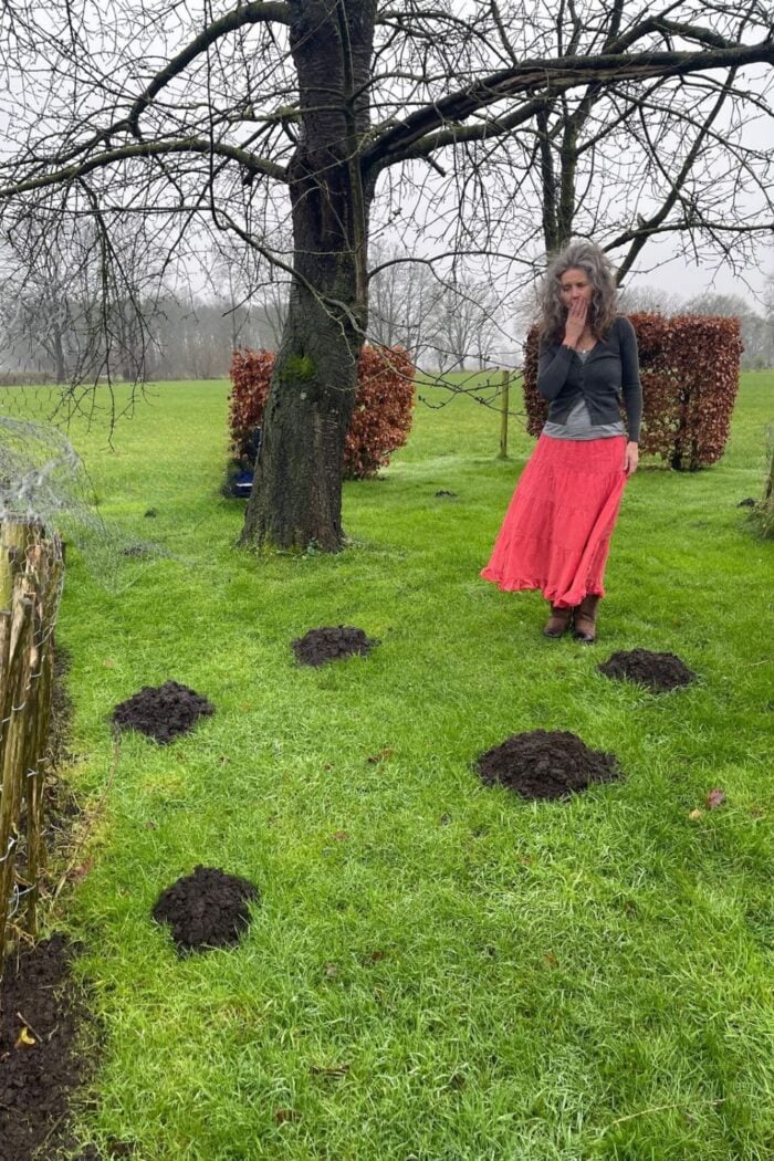 platteland aesthetic