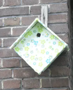 vogelhuisje pimpen