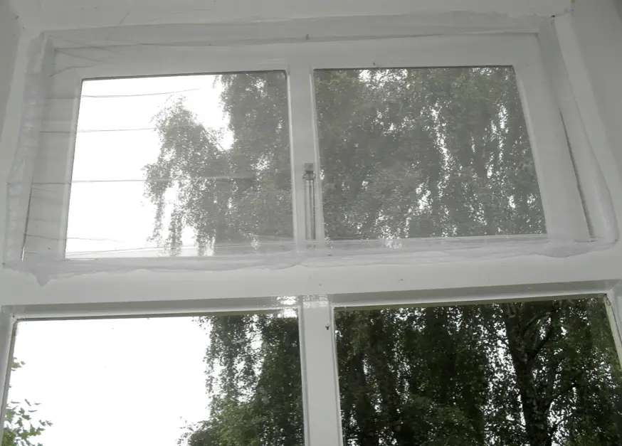 vliegen in huis