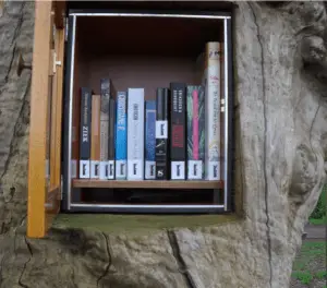 Bibliotheekboom in Ruurlo: leuke tip voor een uitje 3 boekenruilboom Ruurlo