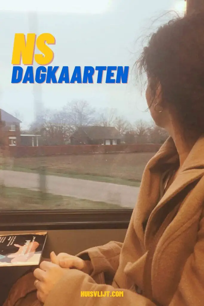 NS dagkaarten