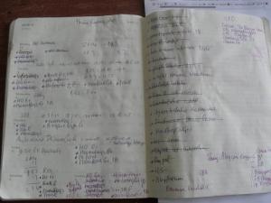 Bullet journal: wat is dat, en hoe kun je dat doen? 2 Bullet journal