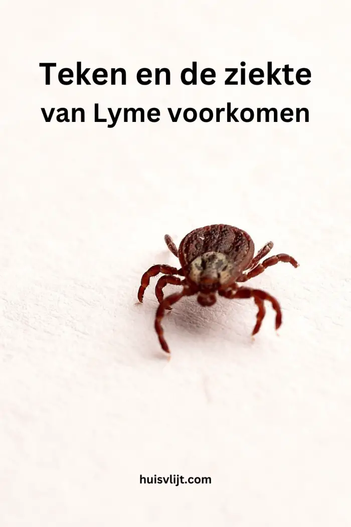 Teken en de ziekte van Lyme voorkomen