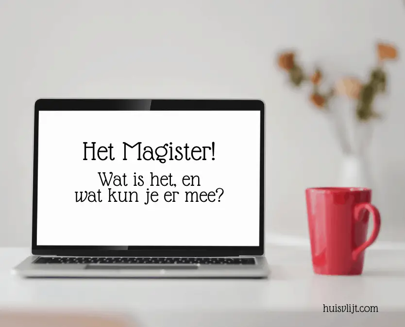 Magister: wat is het, en wat kun je ermee?