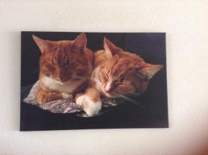 foto op canvas