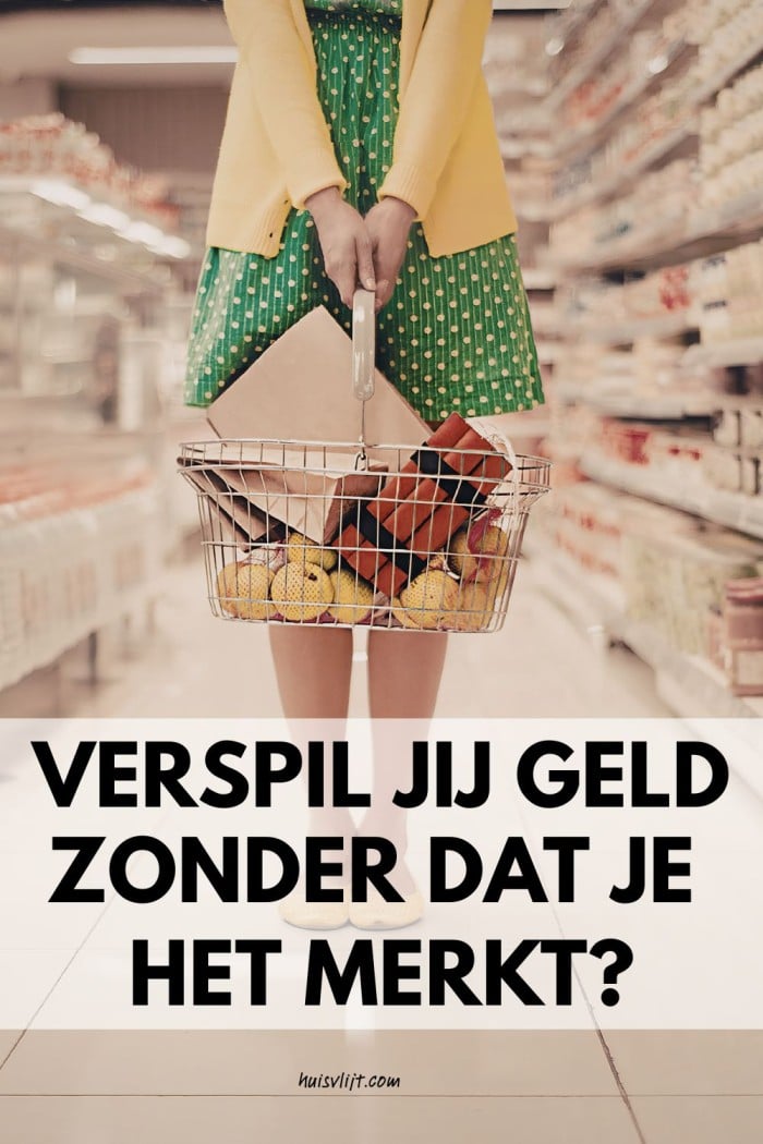 Spilziek: 18 manieren om geld te verspillen (doe vooral het tegenovergestelde) 2 geld besparen