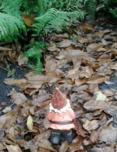 tuin winterklaar maken