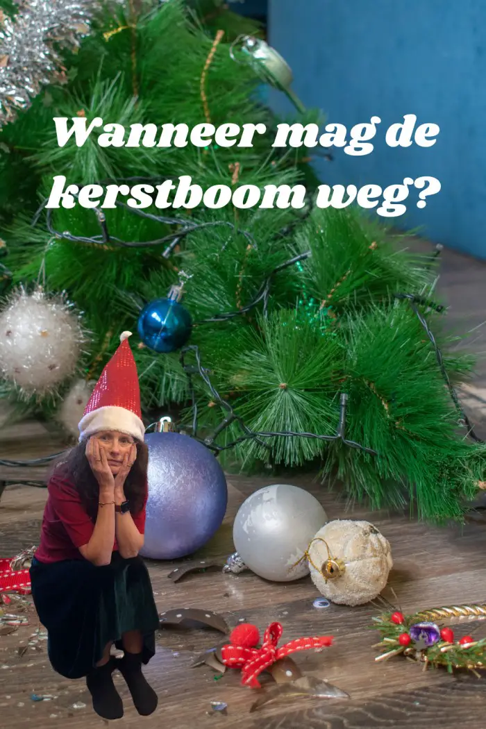 Wanneer kerstboom weg?