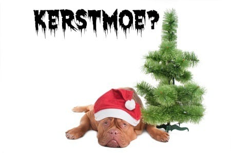 Nu al kerstmoe