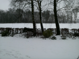 sneeuw