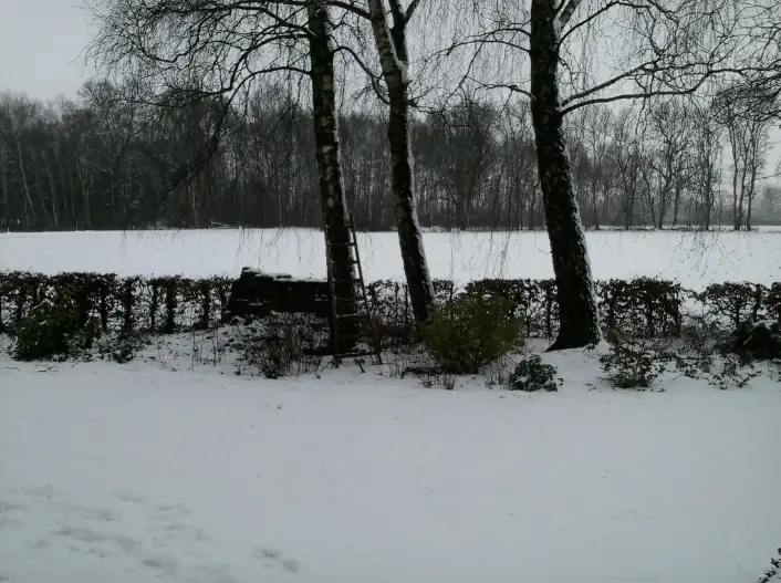 Sneeuw, 24 januari 2015