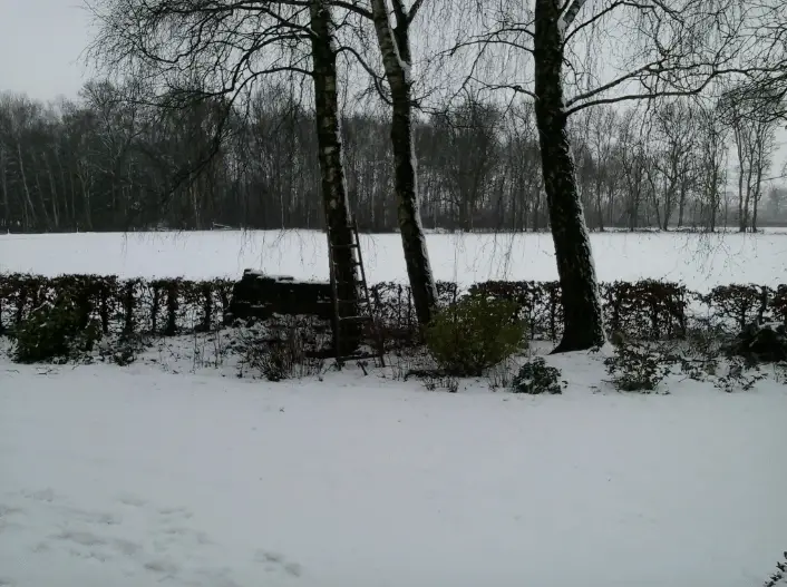 Witte wereld en halen en brengen