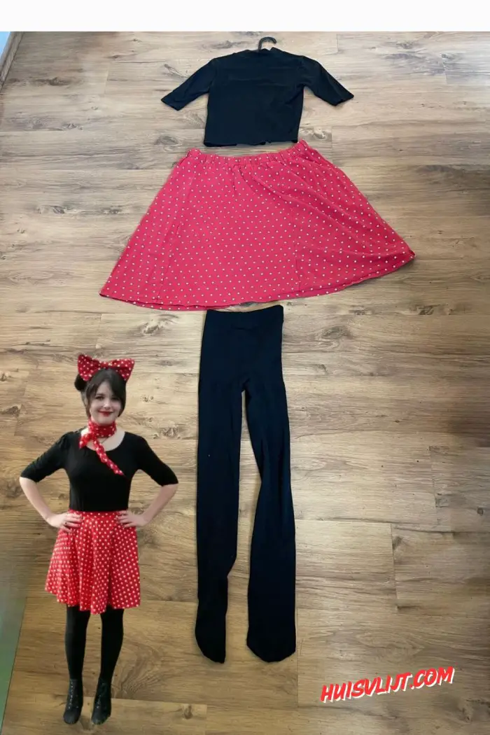 carnaval ideeen outfit mini mouse