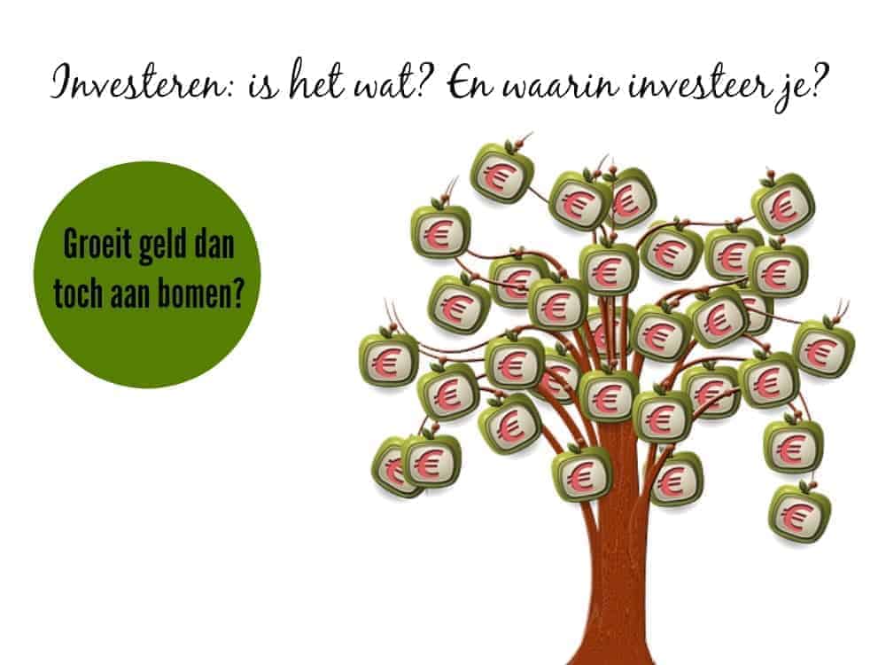 Investeren in projecten, mensen of aandelen?