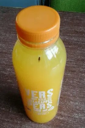 Getver!